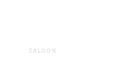 logo light
